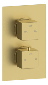 Colne Thermostatic Two Outlet Twin Shower Valve - Brushed Brass
