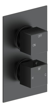 Colne Thermostatic Single Outlet Twin Shower Valve - Matt Black