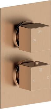 Colne Thermostatic Single Outlet Twin Shower Valve - Brushed Bronze