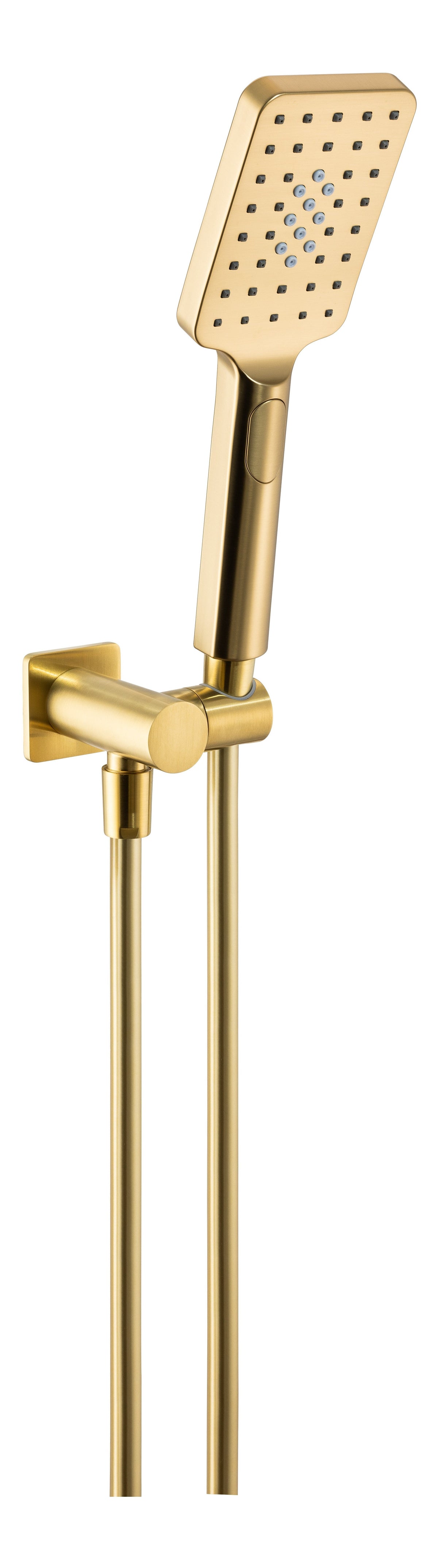 Abode Uno Hand Shower Set - Brushed Brass