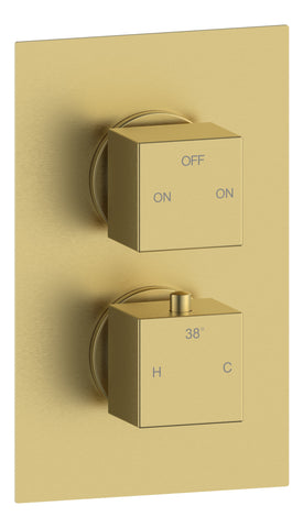 Colne Thermostatic Two Outlet Twin Shower Valve - Brushed Brass