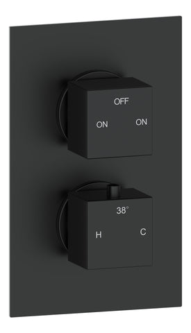 Colne Thermostatic Two Outlet Twin Shower Valve - Matt Black