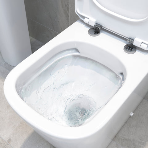 Till Rimless Close Coupled Fully Shrouded Short Projection WC & Soft Close Seat