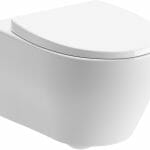 Liver Rimless Wall Hung Wc Soft Close Seat