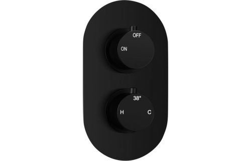 Matt Black Twin Shower Valve - Single Outlet