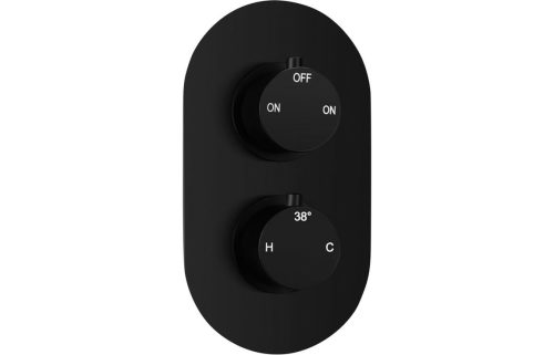 Matt Black Twin Shower Valve - Two Outlet